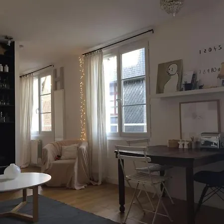 شقة Le Colbert Vue Loire Dans Le Centre Historique De