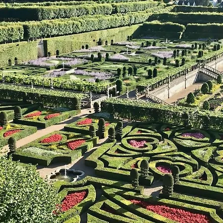 Le Colbert Vue Loire Dans Le Centre Historique De Tours