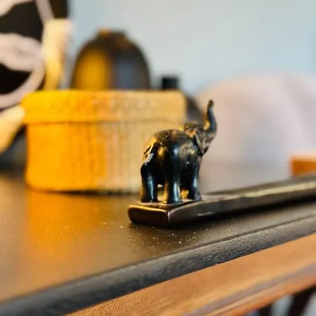 Le Colbert Vue Loire Dans Le Centre Historique De تور