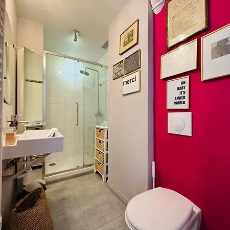 Le Colbert Vue Loire Dans Le Centre Historique De Apartman