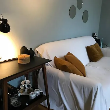 Le Colbert Vue Loire Dans Le Centre Historique De Apartman Tours