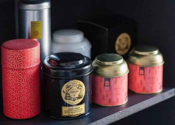 公寓 Le Colbert Vue Loire Dans Le Centre Historique De *