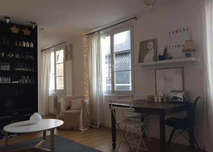 公寓 Le Colbert Vue Loire Dans Le Centre Historique De