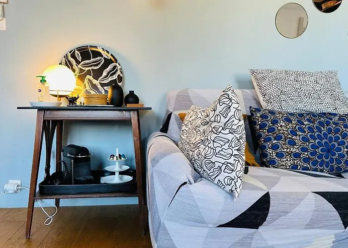 Le Colbert Vue Loire Dans Le Centre Historique De 公寓 图尔