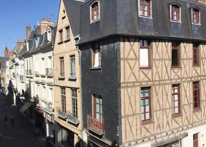 Le Colbert Vue Loire Dans Le Centre Historique De 公寓 图尔