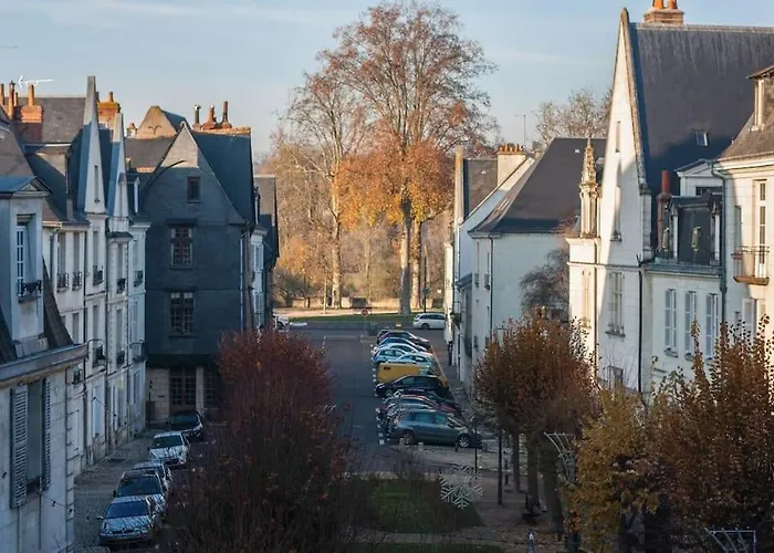 Le Colbert Vue Loire Dans Le Centre Historique De * 图尔