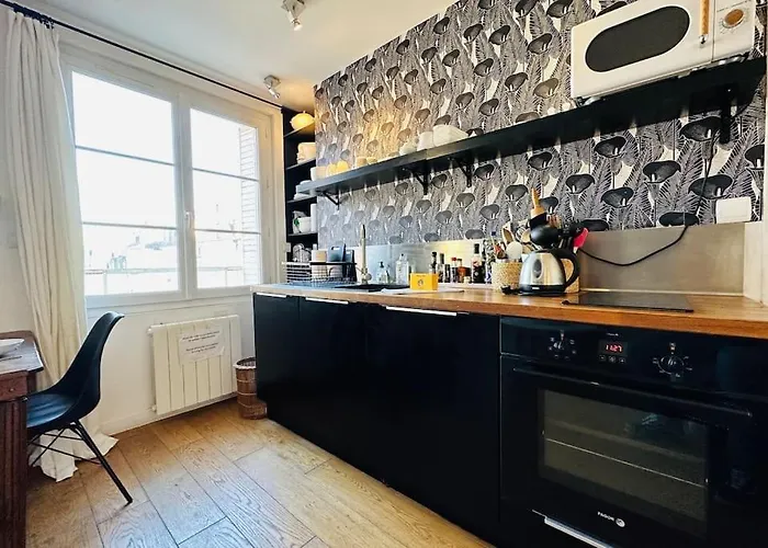 Le Colbert Vue Loire Dans Le Centre Historique De 公寓 图尔