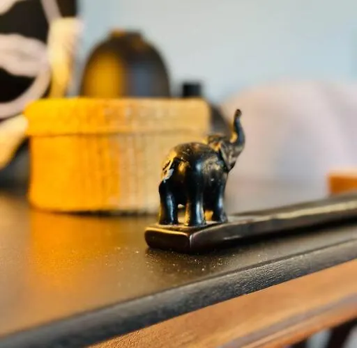 Le Colbert Vue Loire Dans Le Centre Historique De 图尔