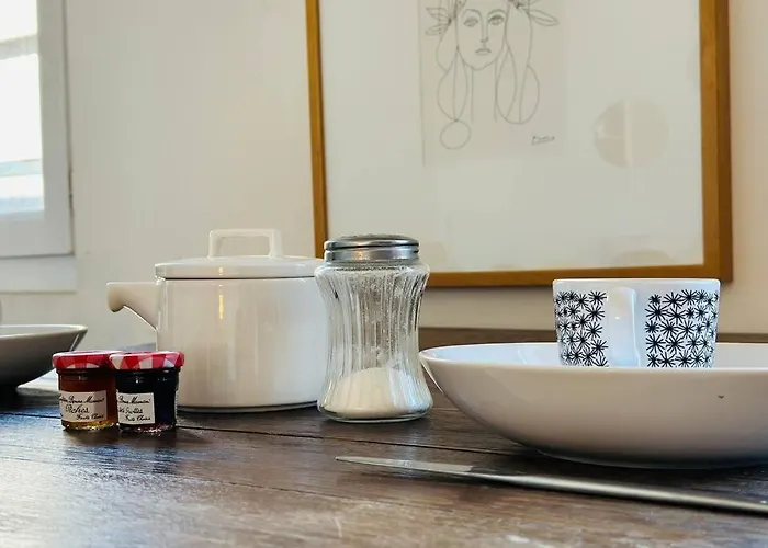 公寓 Le Colbert Vue Loire Dans Le Centre Historique De 图尔