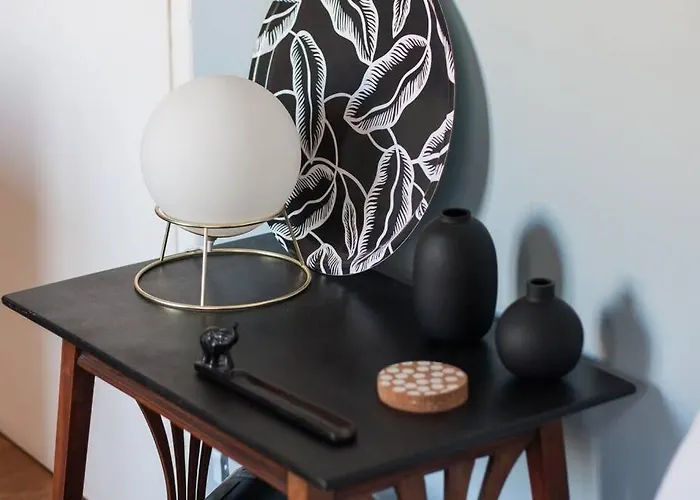 Le Colbert Vue Loire Dans Le Centre Historique De 图尔