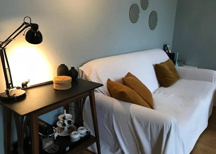 Le Colbert Vue Loire Dans Le Centre Historique De 公寓 图尔