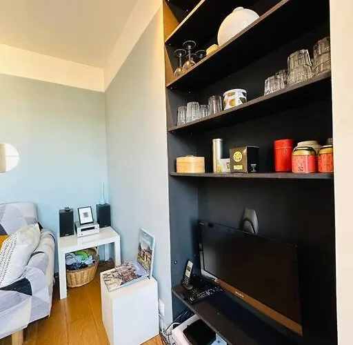 Le Colbert Vue Loire Dans Le Centre Historique De 公寓 图尔