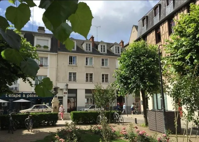 Le Colbert Vue Loire Dans Le Centre Historique De 图尔